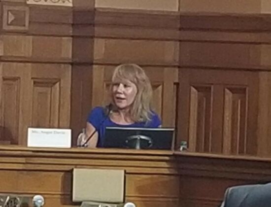 Clerk Angie Davis during her confirmation hearing - Georgia State-wide Business Court